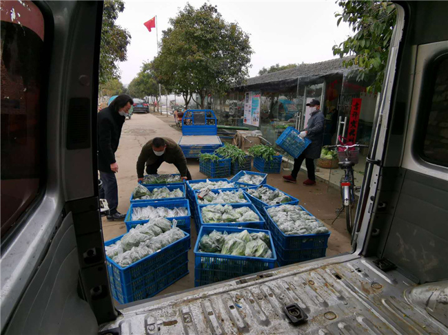 水果批发行业的最新趋势与动态