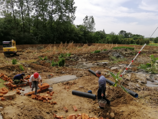 华阳街道钱家边村生态清淤展乡村美颜
