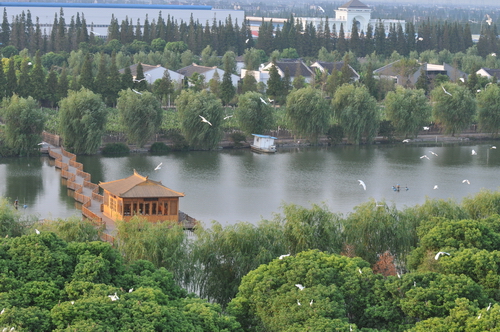 常熟蒋巷村风光