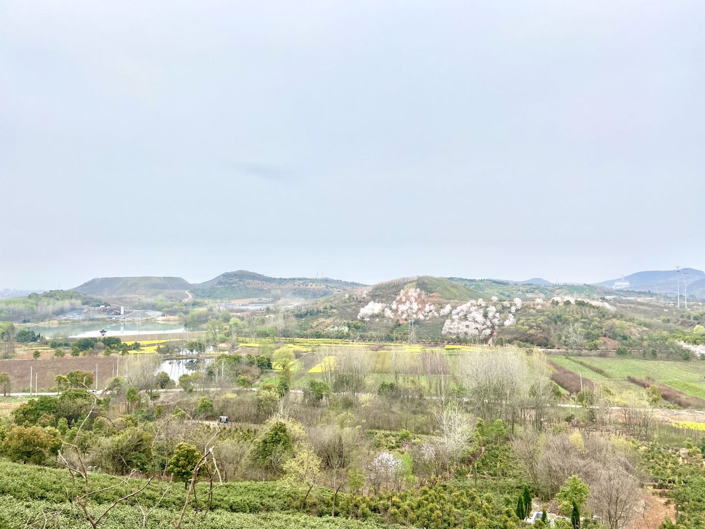 乡村史记|江苏丹阳管山村:从卖石头到卖风景