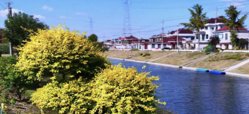 截屏2025-11-27 16.21.08.png