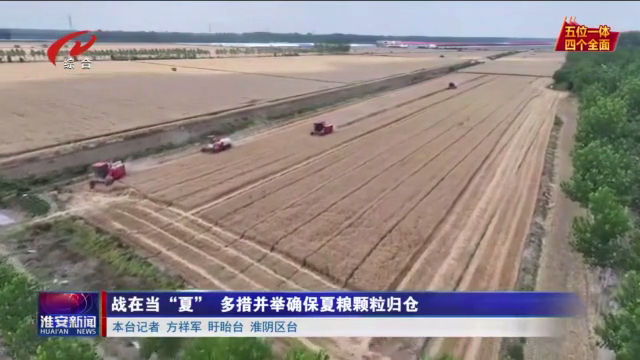 江苏淮安：战在当“夏”多措并举确保夏粮颗粒归仓(图1)