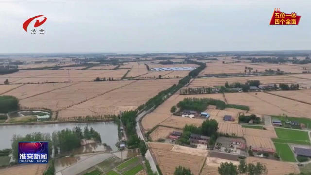 江苏淮安：战在当“夏”多措并举确保夏粮颗粒归仓(图5)