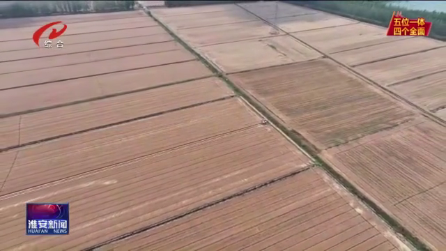 江苏淮安：战在当“夏”多措并举确保夏粮颗粒归仓(图7)