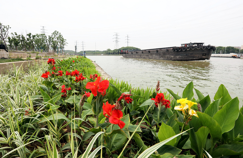 城市生活和旅游景观岸线,南通港狼山港区,江阴韭菜港等"退港还城"