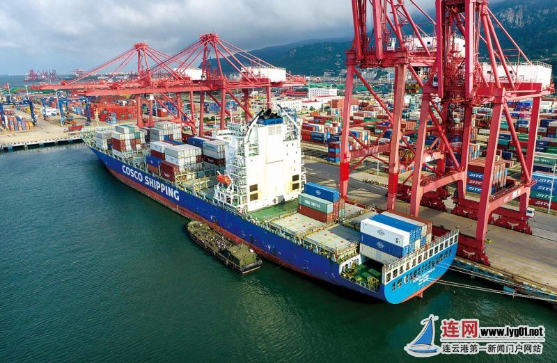 【奋斗百年路 启航新征程】船货港三方"抱团出海" ,千台工程机械出口