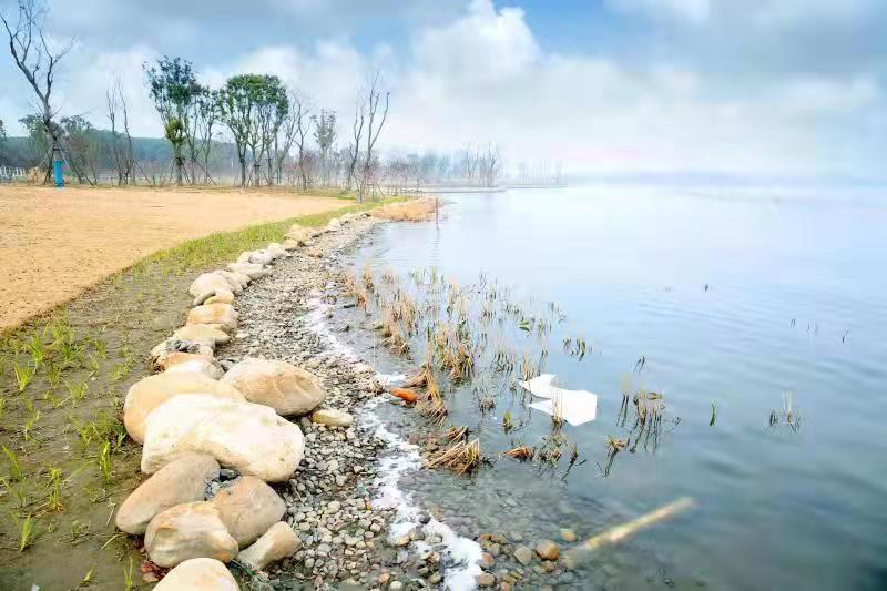 海安上湖图片