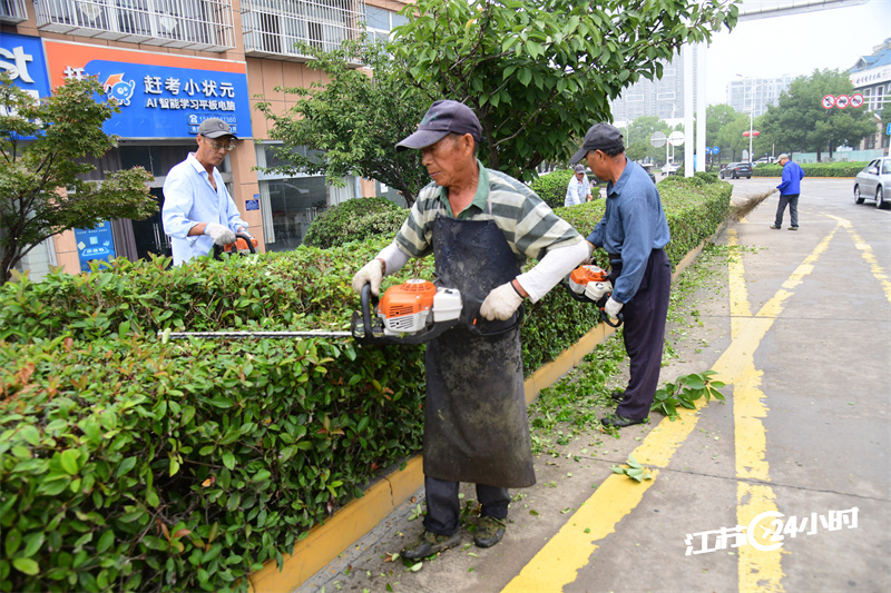 修剪绿化带 美化城市环境_中国江苏网