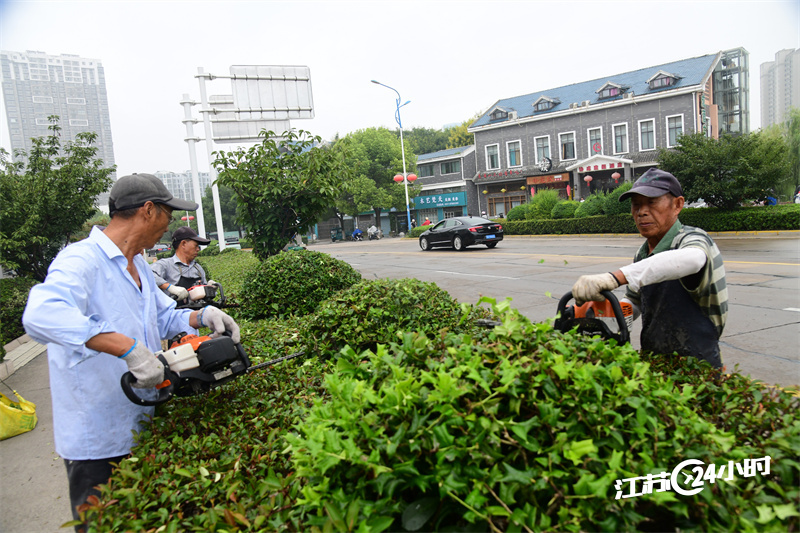 修剪绿化带 美化城市环境_中国江苏网