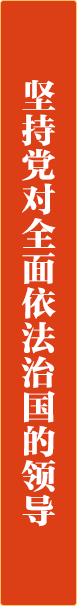 党对全面依法治国的领导.png