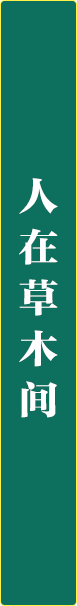 微信图片_20250625175715.png