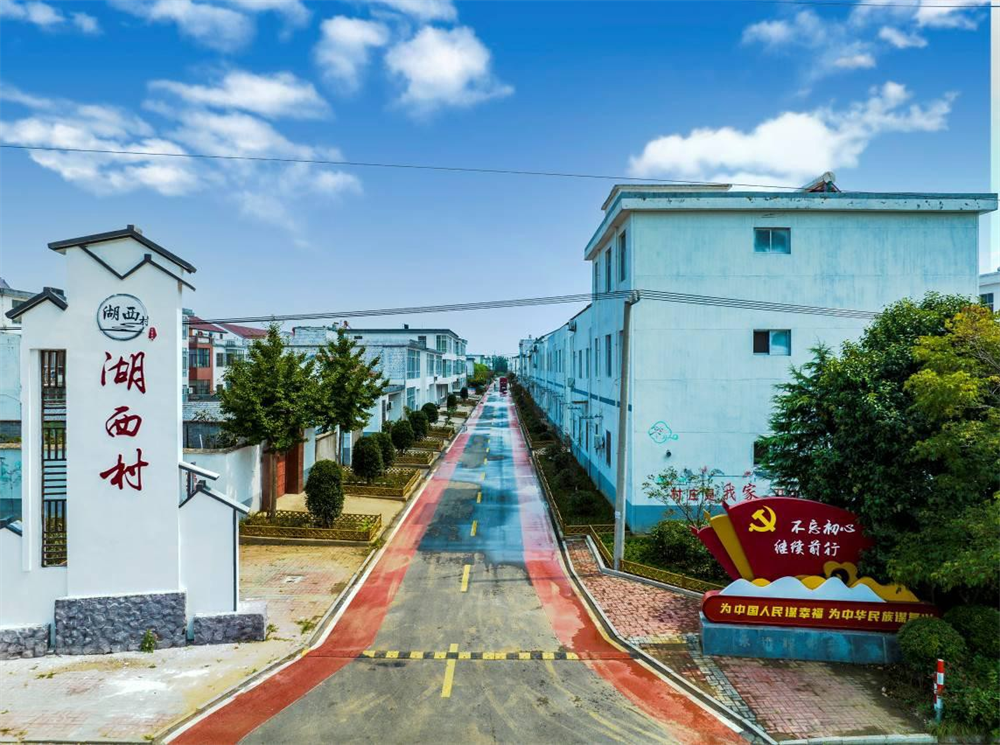 东海县牛山街道湖西村人大代表:走出乡村振兴新路子_中国江苏网