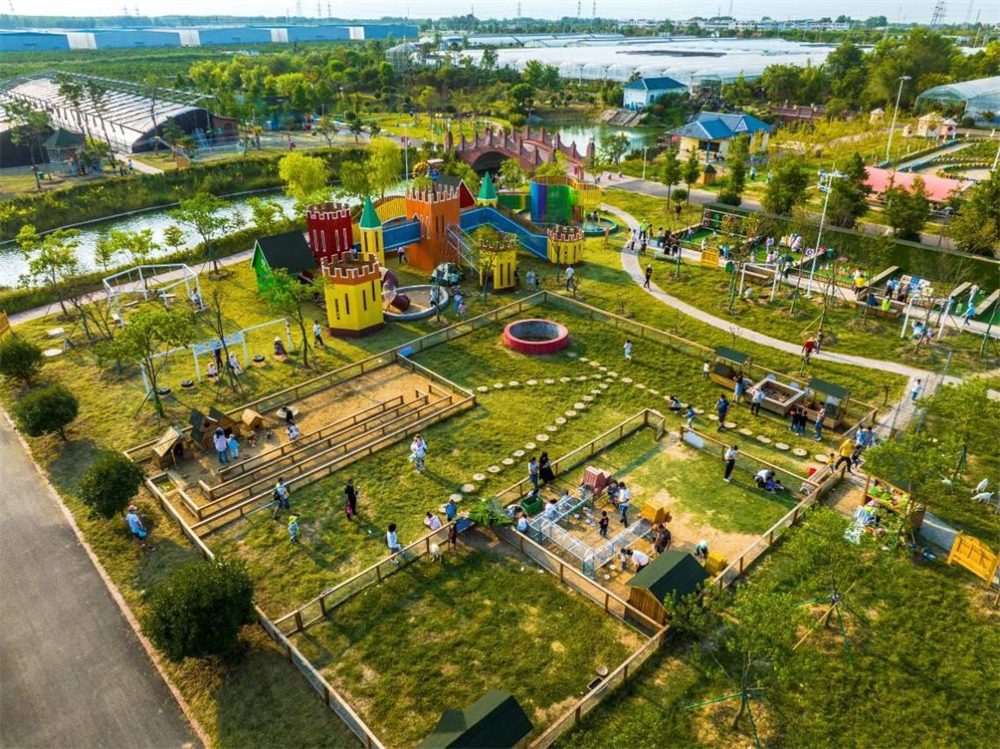 东海县牛山街道湖西村人大代表:走出乡村振兴新路子_中国江苏网