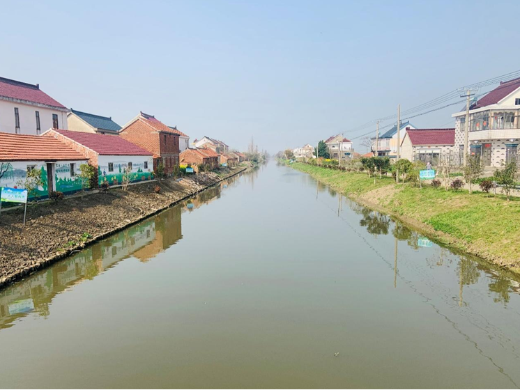 江苏如东马塘镇一水护田将绿绕乡村蝶变入画来