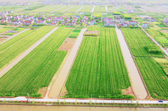 江苏启东东海镇筑良田强耕基