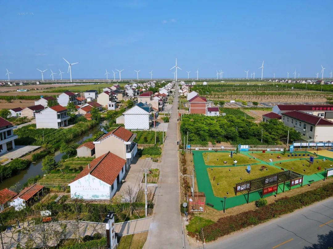 江苏启东东海镇顾邦祥：带乡亲把日子越过越好_中国江苏网