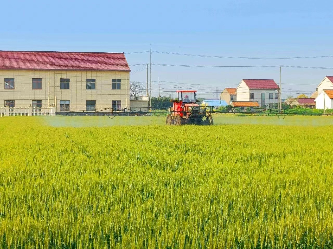 江苏启东东海镇今年计划建设高标准农田16万亩让更多粮田变良田