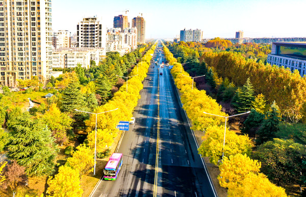 沭阳:初冬披"盛装" 美不胜收_中国江苏网