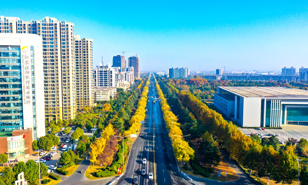 沭阳:初冬披"盛装" 美不胜收_中国江苏网