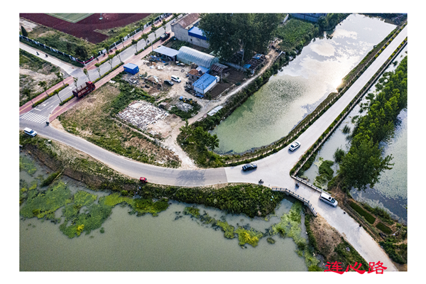 我为群众办实事|沭阳龙庙镇:路网"大循环"纾解群众"行路难"