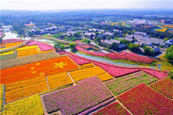 宿迁三台山邀你共赴一场与"花海"的约会