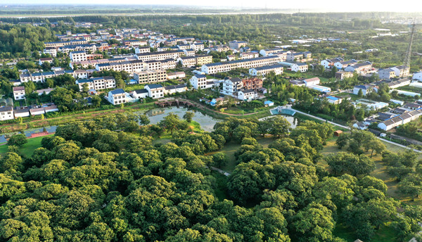 沭阳乡村生态修复助力环境改善