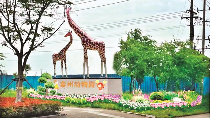 泰州动物园主入口拟改造提升