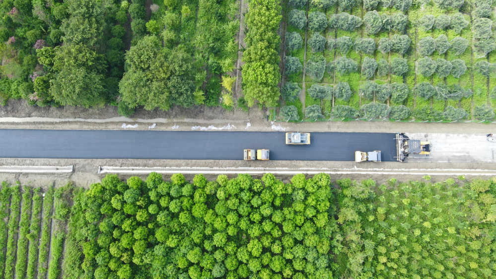 泰州市姜堰区白米镇拜官村:沥青村道  铺就乡村振兴幸福路