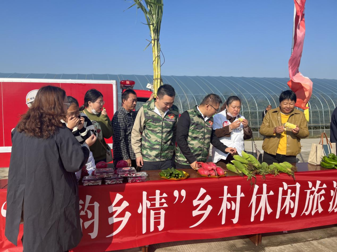 泰州市姜堰区白米镇:助力乡村振兴,"米彩绿"在行动