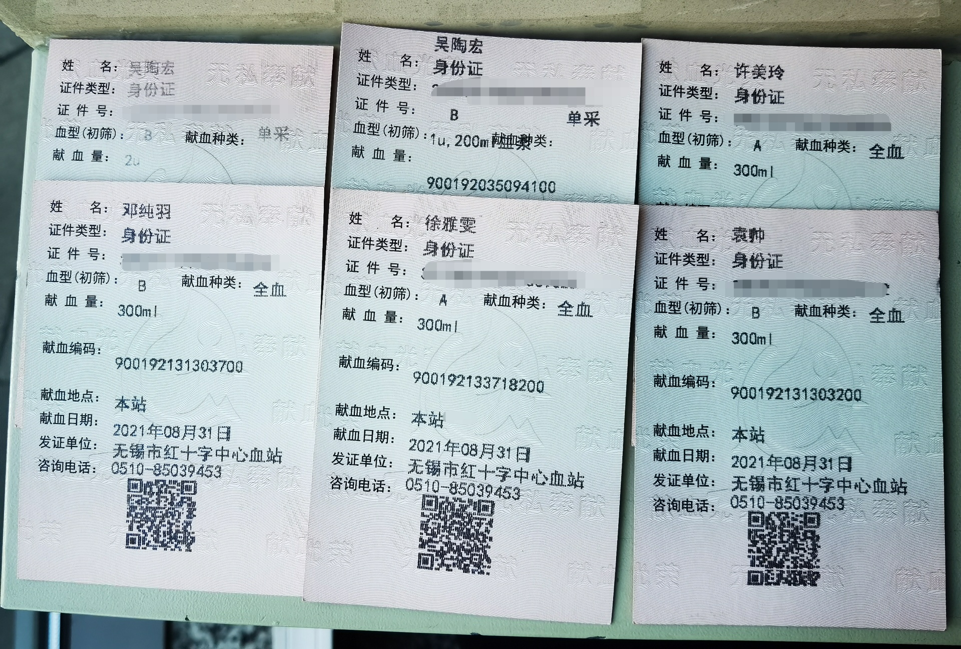 沈阳市献血证图片图片