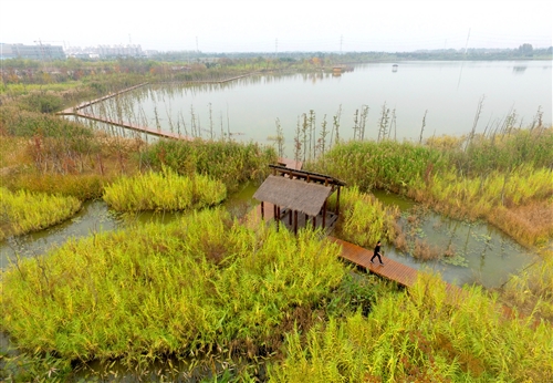 九里湖湿地公园