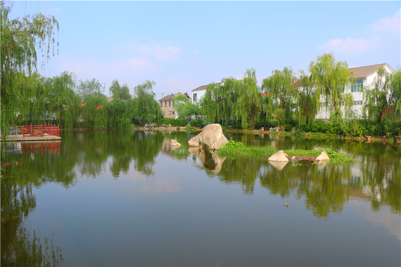 徐州铜山马坡镇打好水环境治理组合拳打造休闲打卡好去处