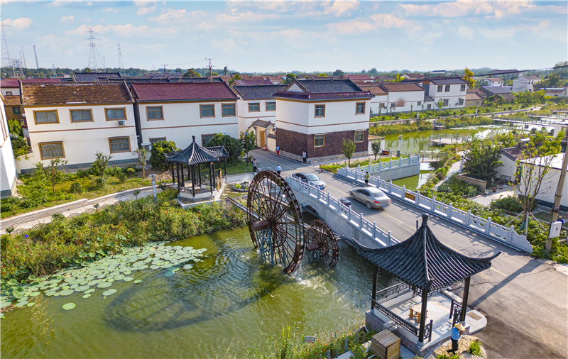 徐州泉山柳新镇聚力农村人居环境整治共建乡村振兴和美家园