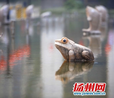 景观水池积冰了