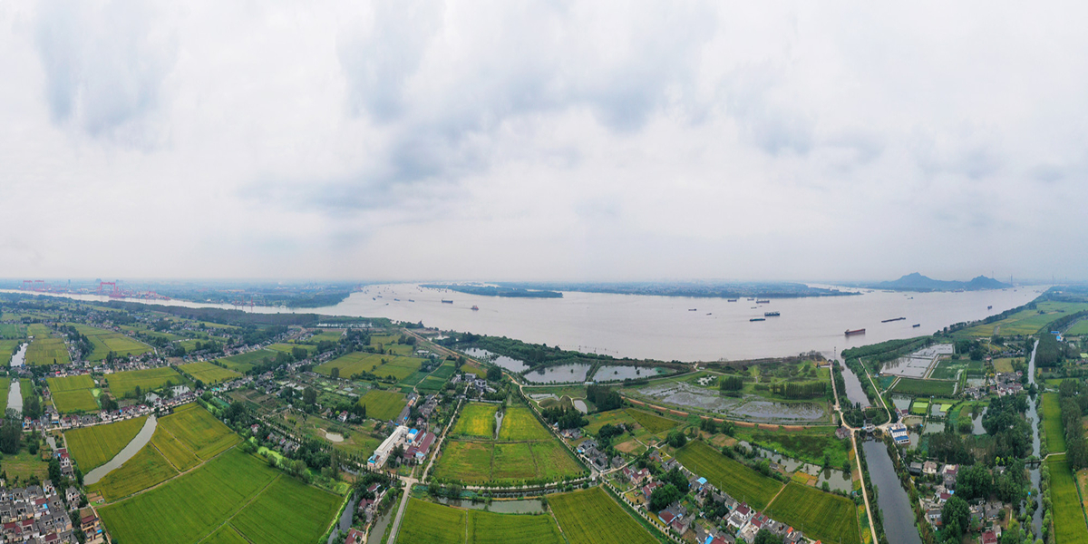 扬州桥头镇图片